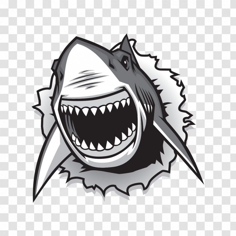 Shark - Mouth - Cartilaginous Fish Cartoon Transparent PNG