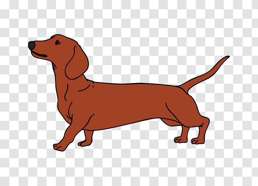 Dachshund Vector Graphics Dog Breed Puppy Illustration - Terrier - Brown Dogs Transparent PNG