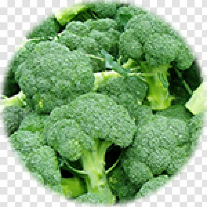 Nutrient Protein Food Vitamin Vegetarianism - Broccoli Transparent PNG