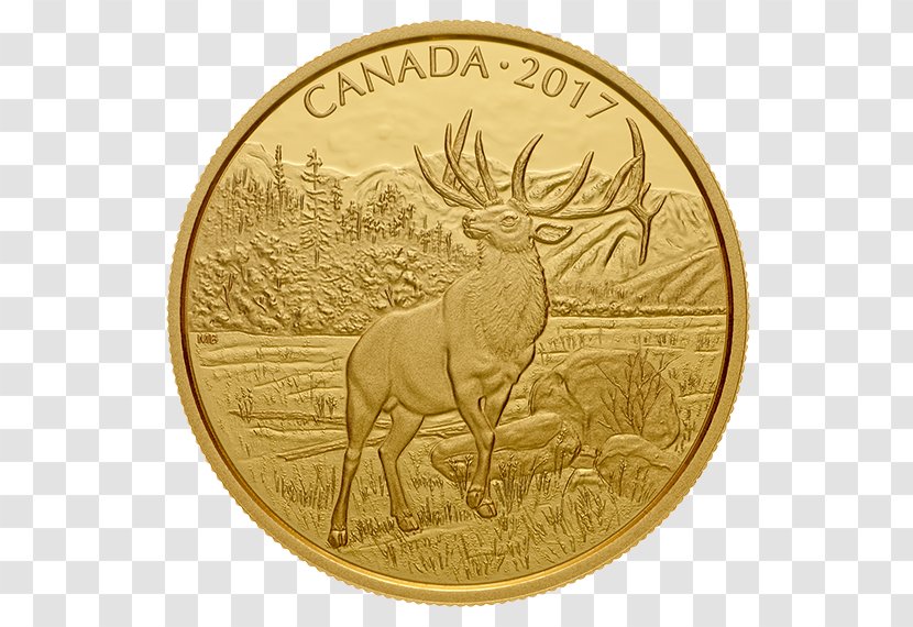 Bullion Coin Gold Canada Royal Canadian Mint Transparent PNG