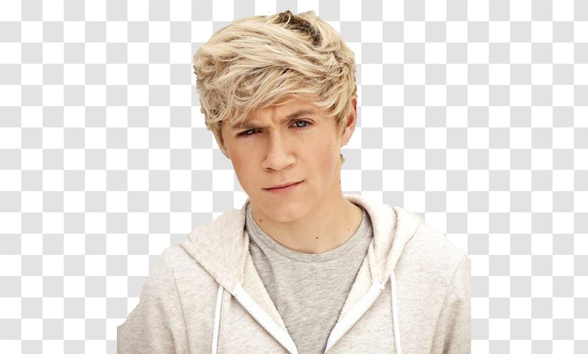 Niall Horan One Direction The X Factor Mullingar Up All Night - Silhouette Transparent PNG