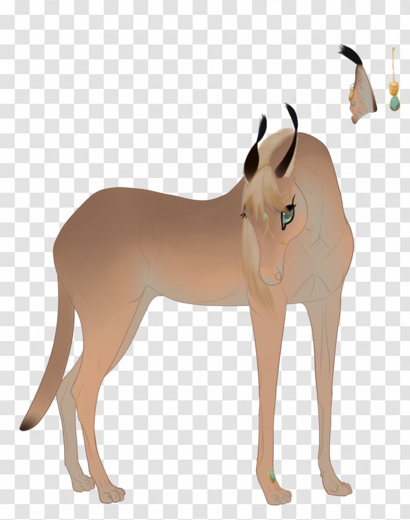 Mustang Donkey Pony Rein Dog - Mane Transparent PNG