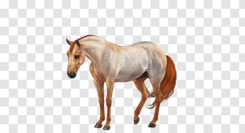 American Quarter Horse Paint Mane Stallion Mare - Chestnut - Equine Coat Color Transparent PNG