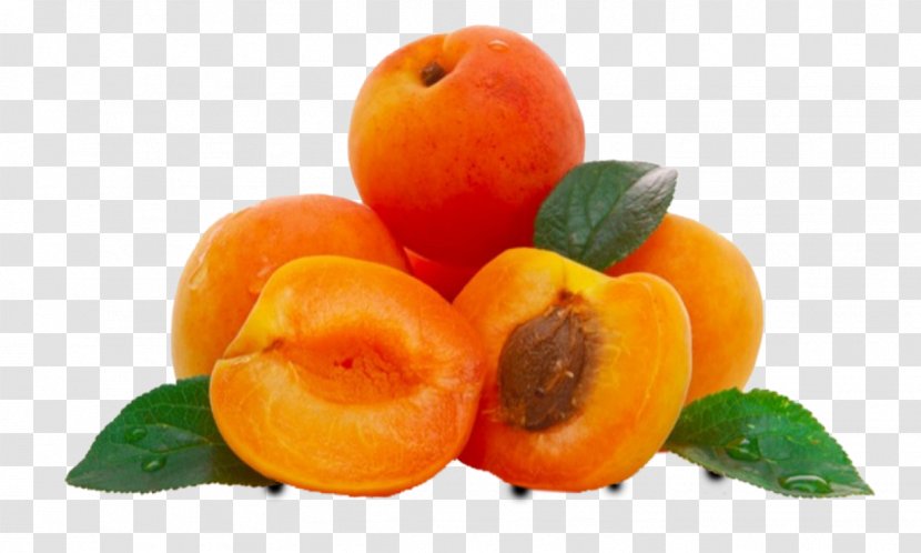 Apricot Oil Kernel Carrier Walnut - Vegetarian Food Transparent PNG