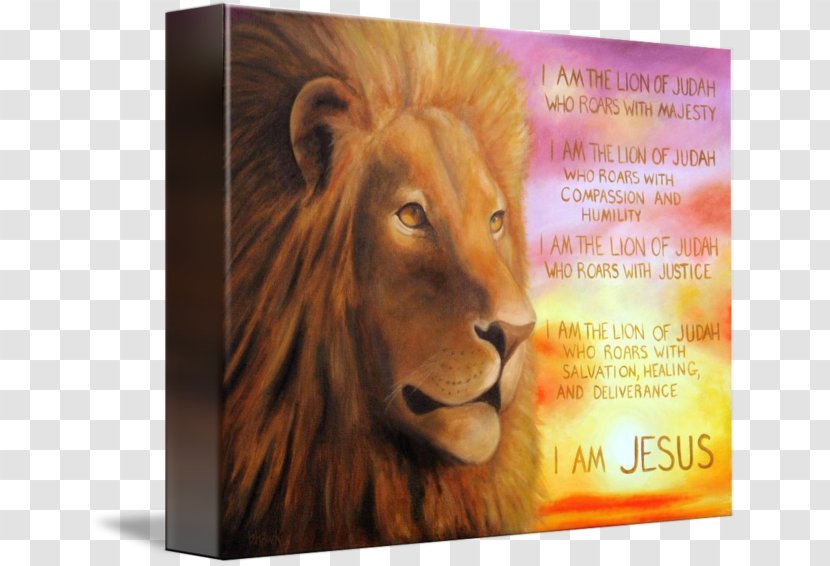 Lion Of Judah Bible Kingdom Book Revelation - Big Cat Transparent PNG