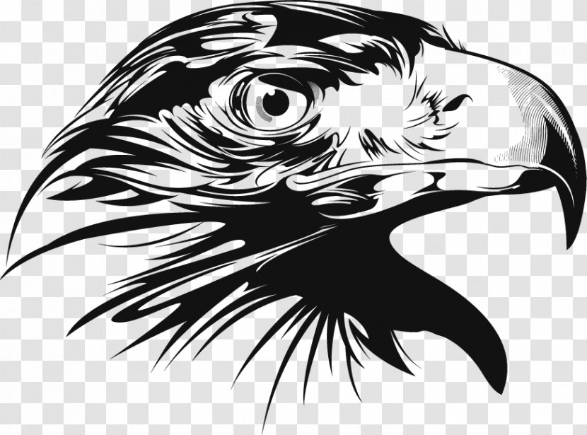 Bald Eagle Euclidean Vector Clip Art - Head Transparent PNG