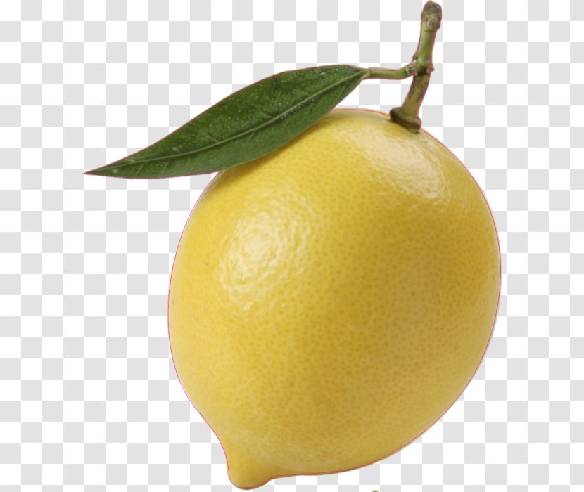 Sweet Lemon Citron Persian Lime Meyer - Food - Continental Material 27 0 1 Transparent PNG