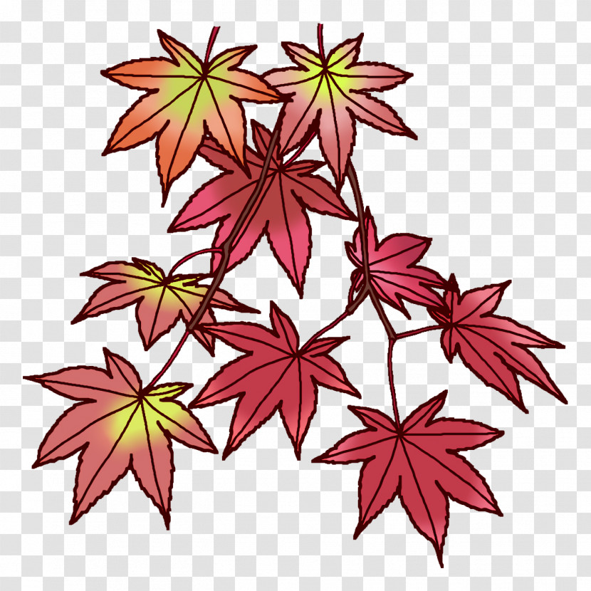 Maple Leaf Transparent PNG