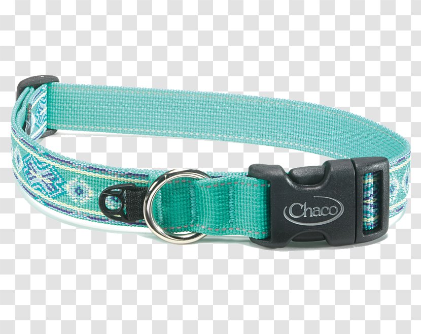 Leash Dog Collar Pet - Webbing - Collars Transparent PNG