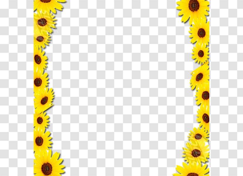 Common Sunflower Borders And Frames Picture Clip Art - Yellow - Border Frame Transparent PNG