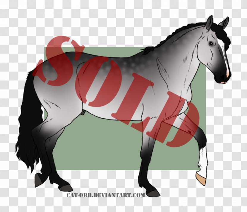 Mustang Stallion Mare Pony Rein Transparent PNG