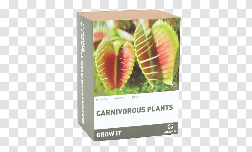 Insect Drosera Carnivorous Plant Venus Flytrap Pitcher Transparent PNG
