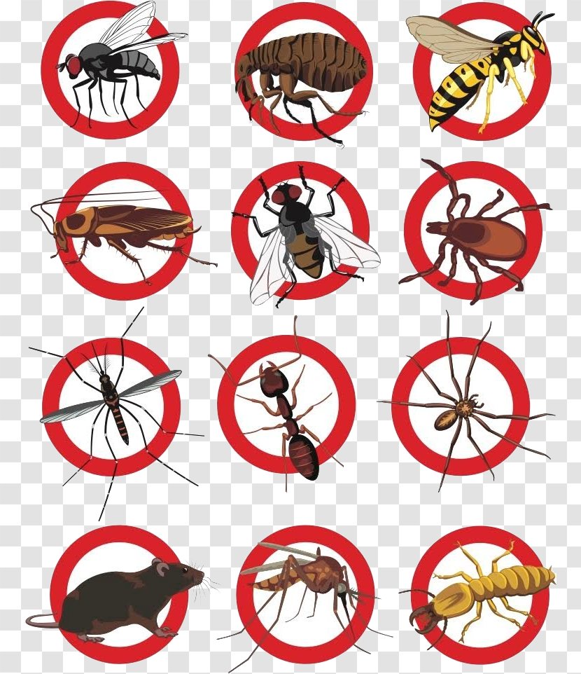 Cockroach Pest Control Rat Clip Art - Spoke Transparent PNG