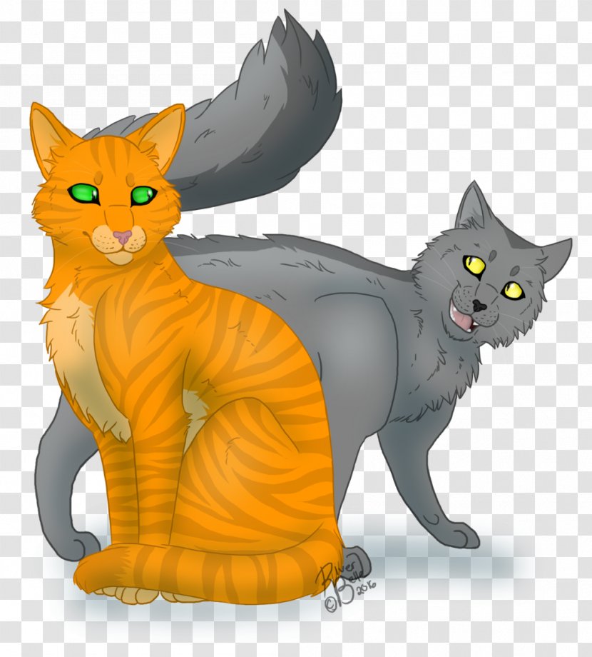 Kitten Whiskers American Wirehair Firestar Warriors Transparent PNG