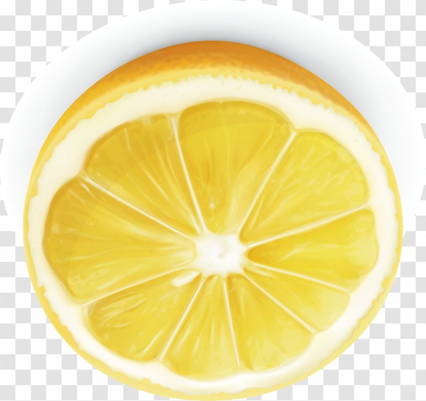 Lemon-lime Drink Decorative Arts - Lemonlime - Lemon Vector Material Transparent PNG