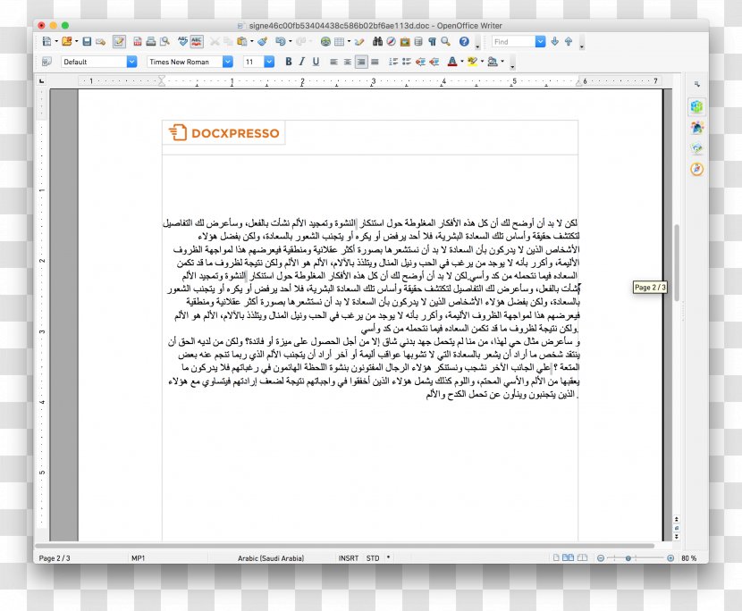 Screenshot Web Page Computer Program Line - Islamic Language Transparent PNG