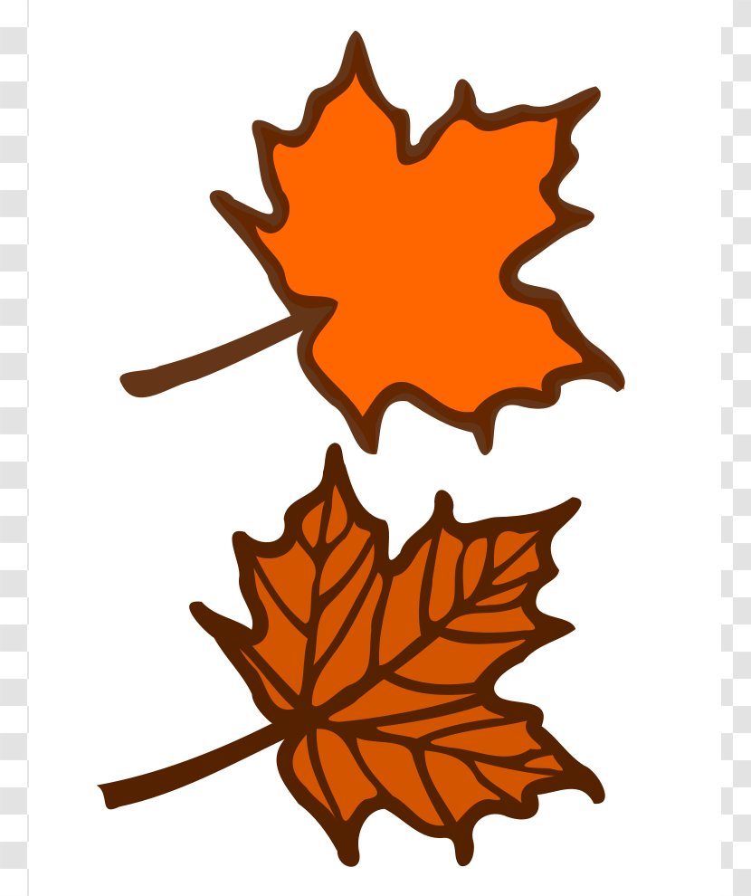 Red Maple Leaf Clip Art - Tree - Images Of Leaves Transparent PNG