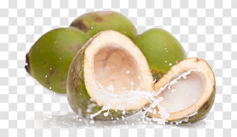 Coconut Water Juice Sports & Energy Drinks Smoothie - Filipino Cuisine - Fresh Transparent PNG