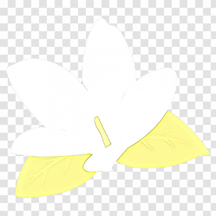 White Yellow Leaf Line Plant Transparent PNG