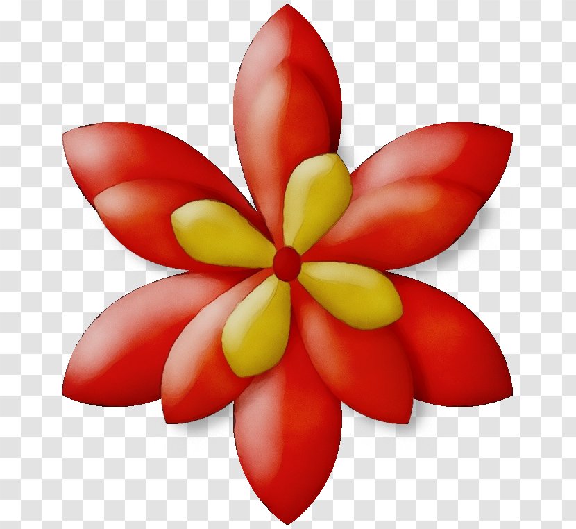 Petal Flower Frangipani Plant Transparent PNG