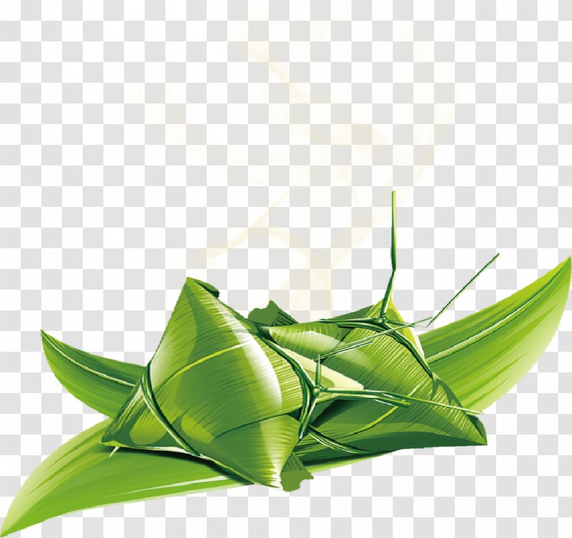 Zongzi Dragon Boat Festival Download - Insect Transparent PNG