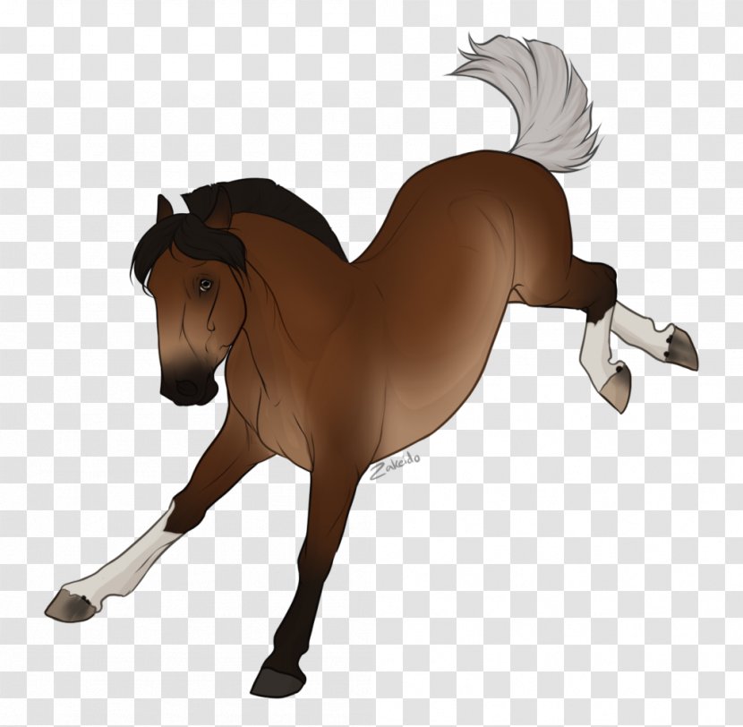 Mane Mustang Stallion Mare Rein - Horse Tack Transparent PNG