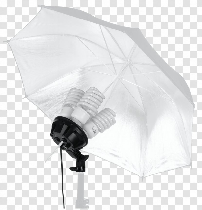 Umbrella Softbox Light Massachusetts Institute Of Technology Transparent PNG
