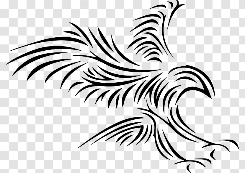 Bald Eagle Feather Law Clip Art - Visual Arts Transparent PNG