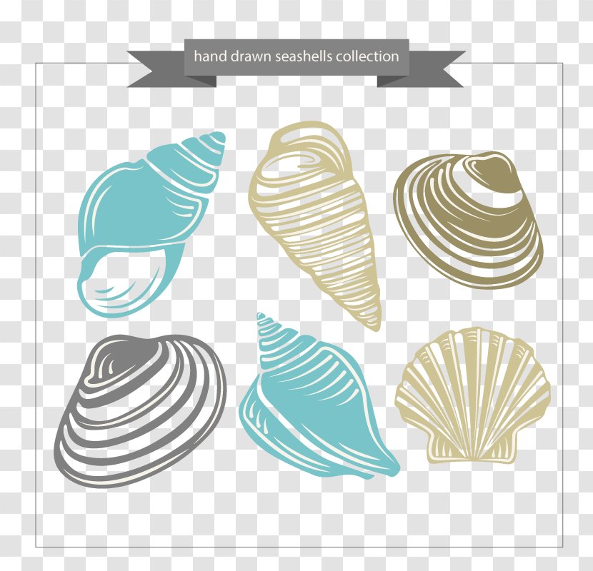 Seashell Download Computer File - Shellfish - Seashells Vector Transparent PNG