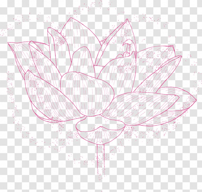 Rose Family Sketch Illustration Floral Design - Pink - Flora Transparent PNG
