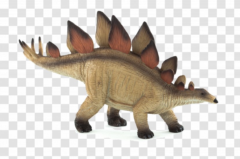 Stegosaurus Triceratops Ankylosaurus Dinosaur Spinosaurus Transparent PNG
