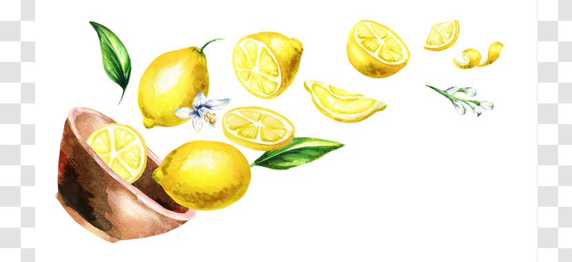 Yellow Lemon Fruit Citrus Natural Foods Transparent PNG