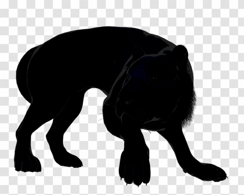 Dog Breed Cat Puppy Black - M - Angry Transparent PNG
