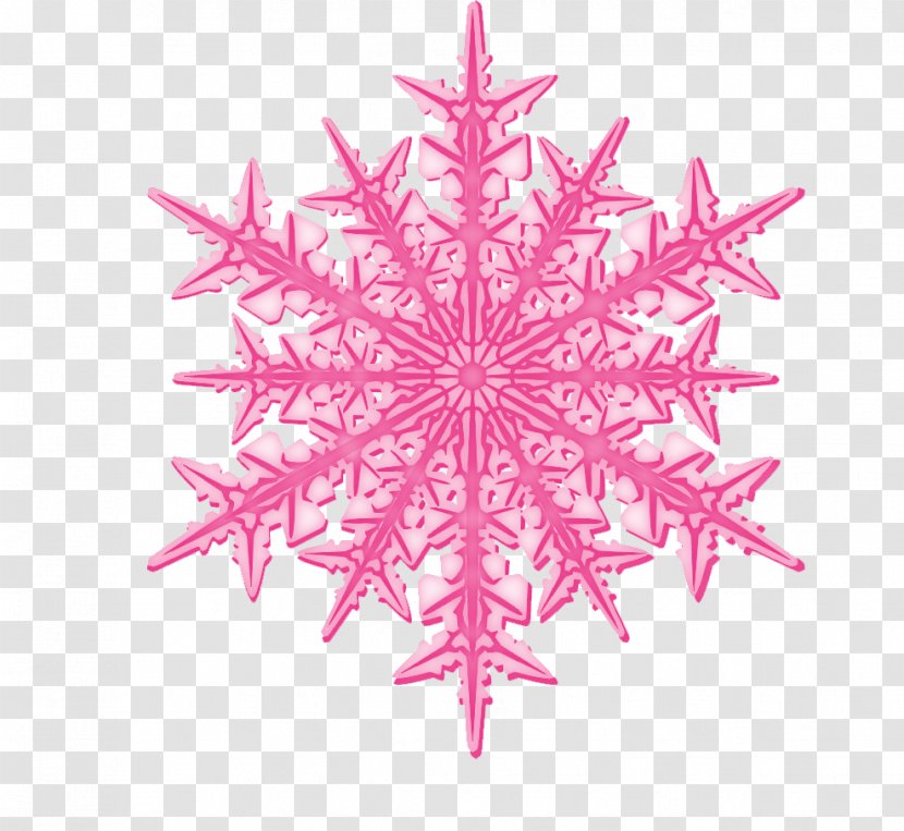 Christmas Ornament Snowflake Symmetry Pink M Pattern Transparent PNG