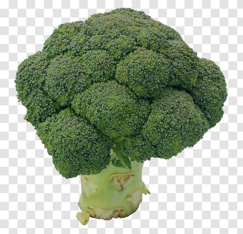Broccoli Cauliflower Collard Greens Rapini - Cream Of Mushroom Soup Transparent PNG