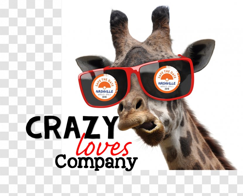 Giraffe Stock Photography Smoking Transparent PNG