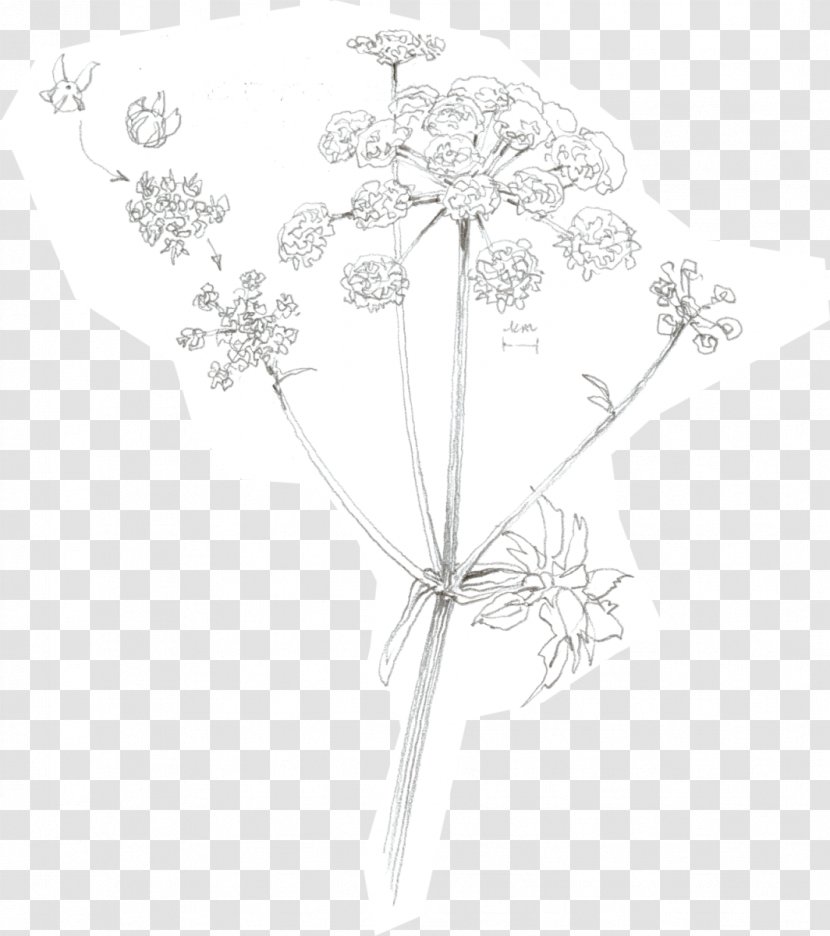 Petal Floral Design White Symmetry Pattern - Branch - Leaf Transparent PNG