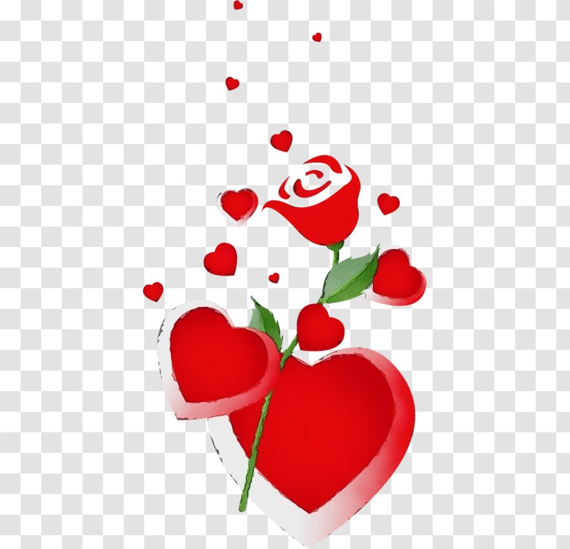Valentine's Day - Petal - Valentines Rose Family Transparent PNG
