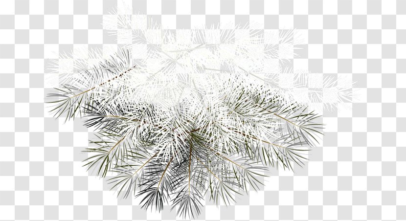 Clip Art Santa Claus Christmas Day Tree - Gift Transparent PNG