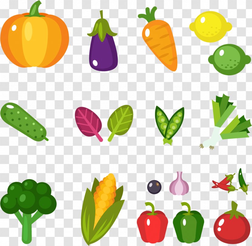 Fruit Vegetable Food Flat Design Celery - Alimento Saludable - Healthy Fruits And Vegetables Transparent PNG