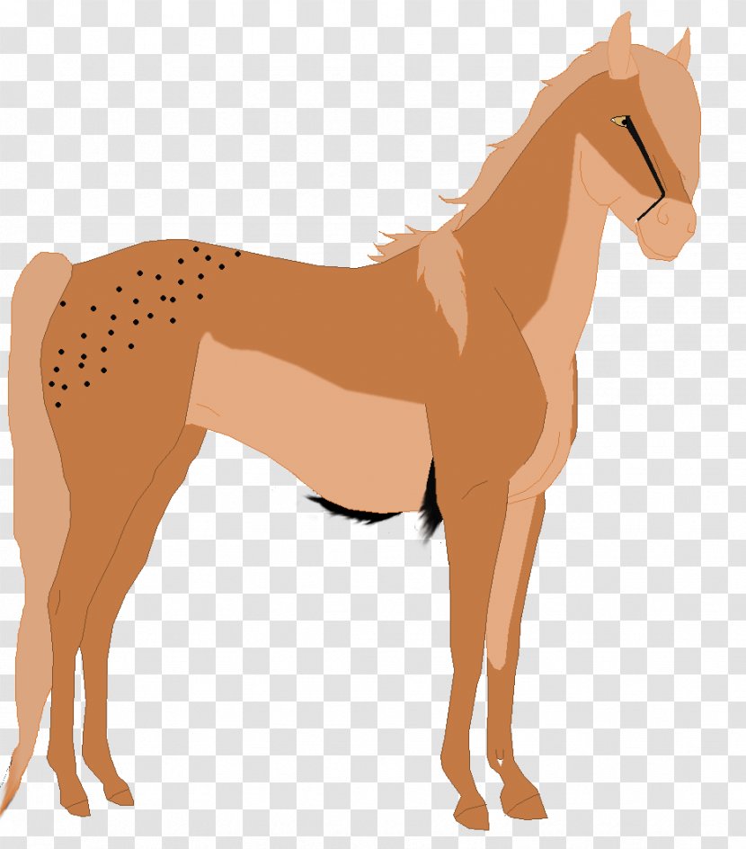 Foal Mane Mare Stallion Colt - Mustang Transparent PNG