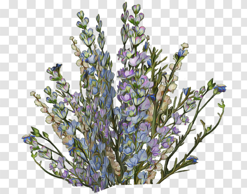 Lavender Transparent PNG