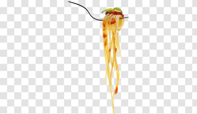 Pasta Spaghetti Photography - Getty Images - Fork Transparent PNG