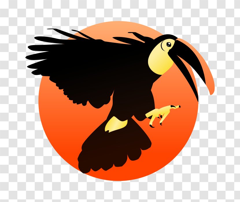 Bird Toucan Beak Animal Clip Art Transparent PNG