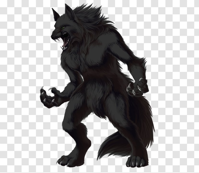 Gray Wolf Werewolf Monster - Transparent Image Transparent PNG