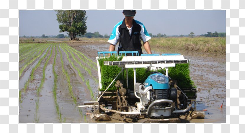 Kubota Corporation Tractor Machine Natural Gas Vehicle Cost - Plant - Rice Transplanter Transparent PNG