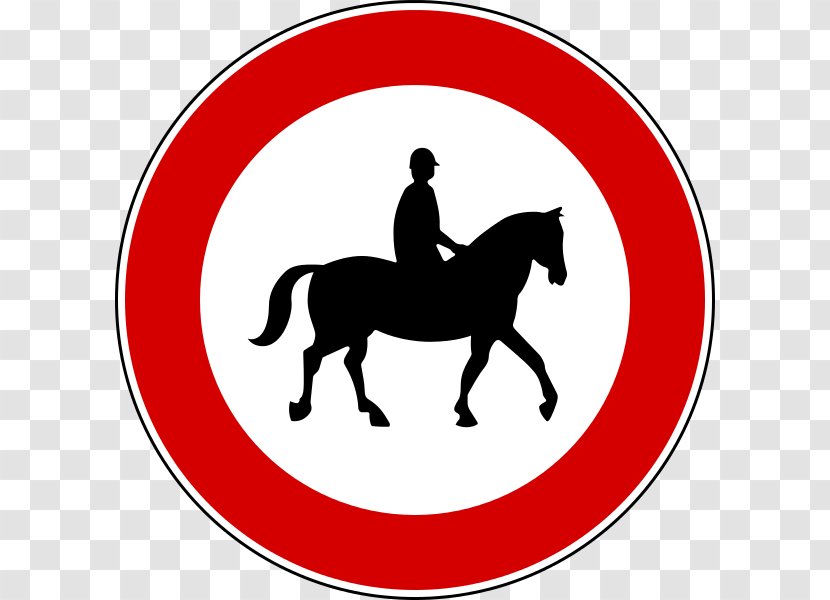 Horse Safety Stock Photography Pony Equestrian - Like Mammal Transparent PNG