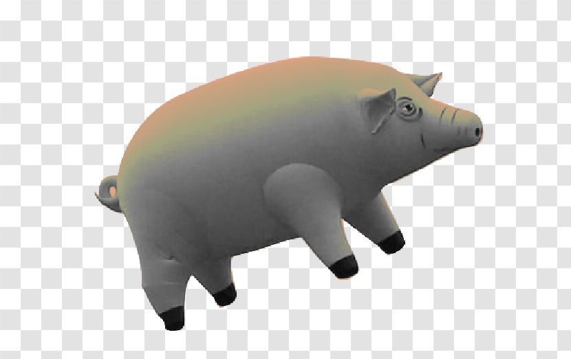 Pig Snout Terrestrial Animal Transparent PNG