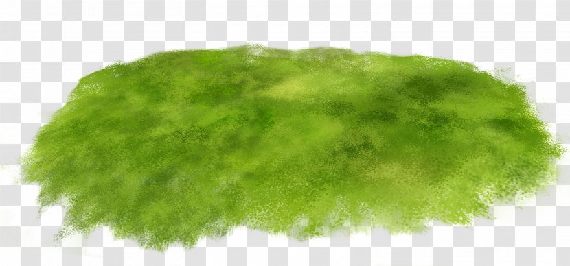 Grass Clip Art - Meadow - Green Transparent PNG