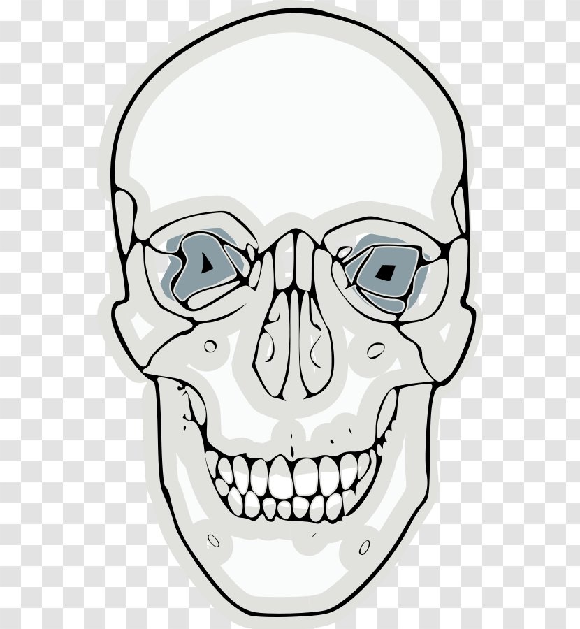 Skull Frontal Bone Clip Art - Jaw - Funny Transparent PNG